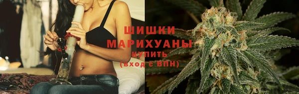 ПСИЛОЦИБИНОВЫЕ ГРИБЫ Белокуриха