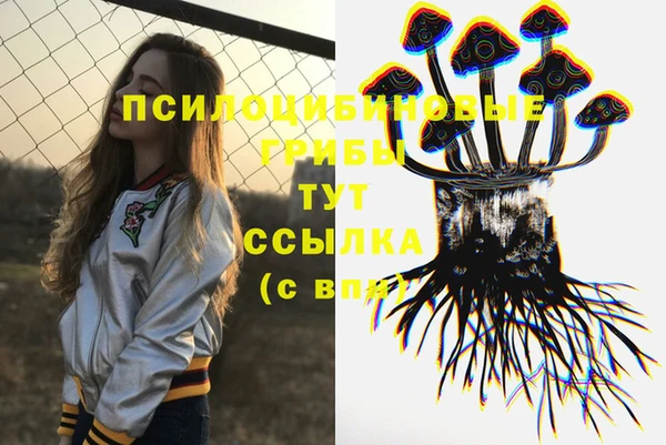 крисы Беломорск
