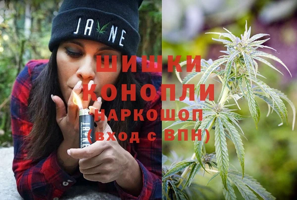 ПСИЛОЦИБИНОВЫЕ ГРИБЫ Белокуриха